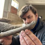 کشف یک «اسکیت» هزار ساله از جنس استخوان